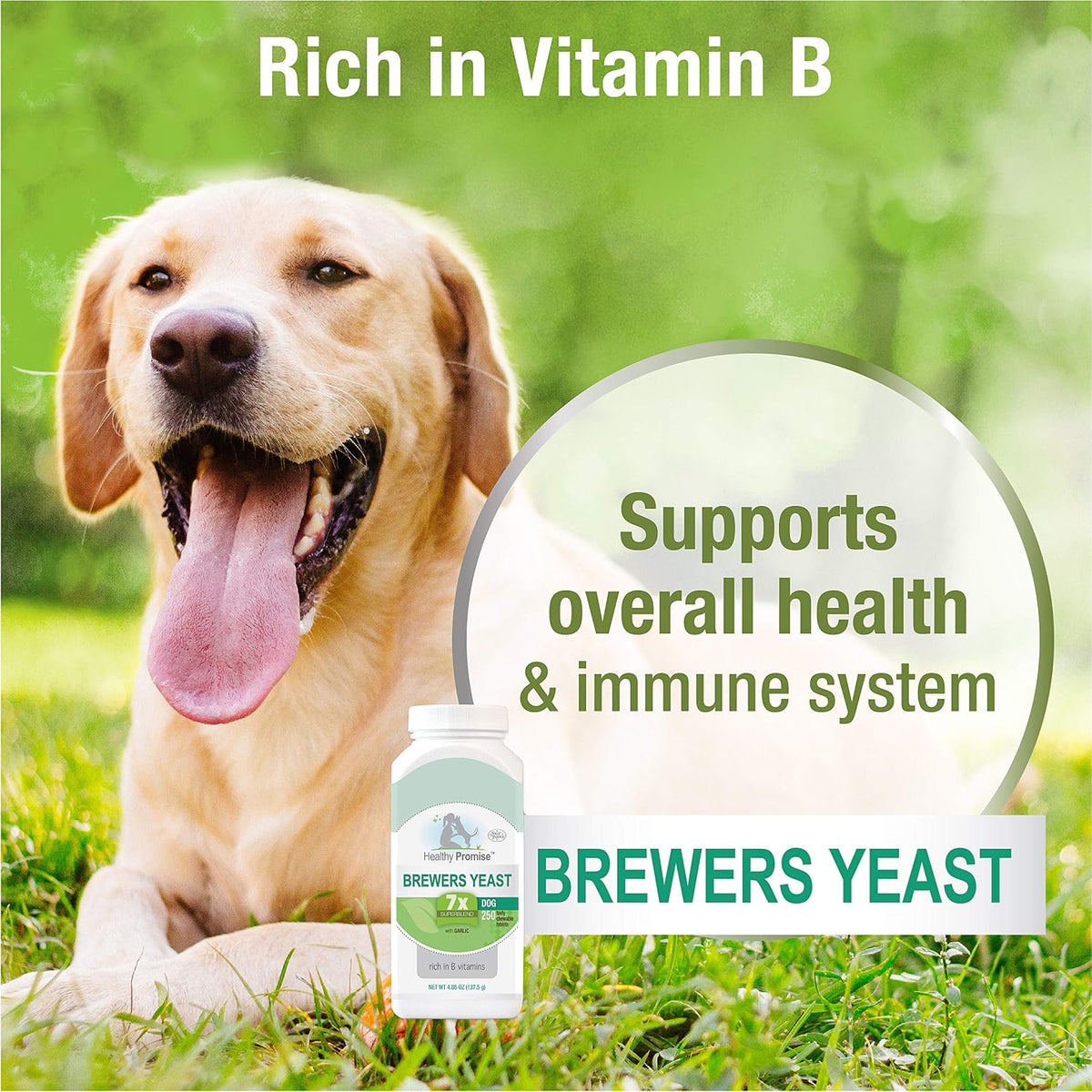 Four Paws Healthy Promise Brewer's Yeast for Dogs Immunity 250 Count - görsel 4