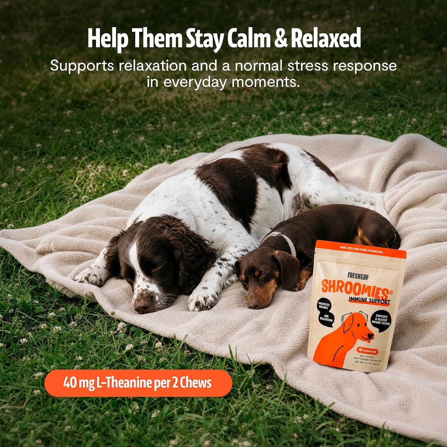 FreshCap Shroomies 13-in-1 Mushroom Supplement for Dogs (180 Soft Chews) - görsel 8
