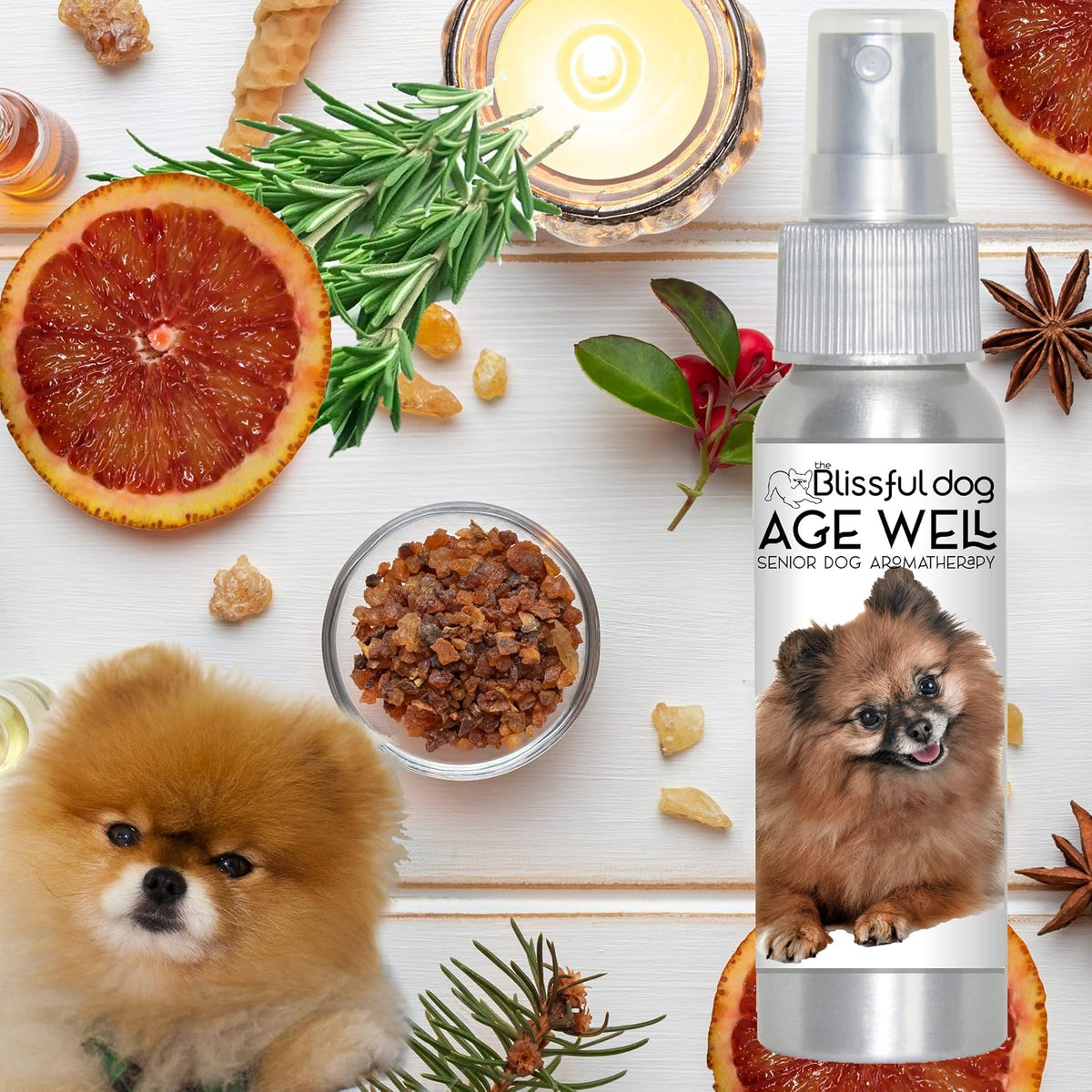 The Blissful Dog Pomeranian Age Well Spray Aromatherapy - görsel 7