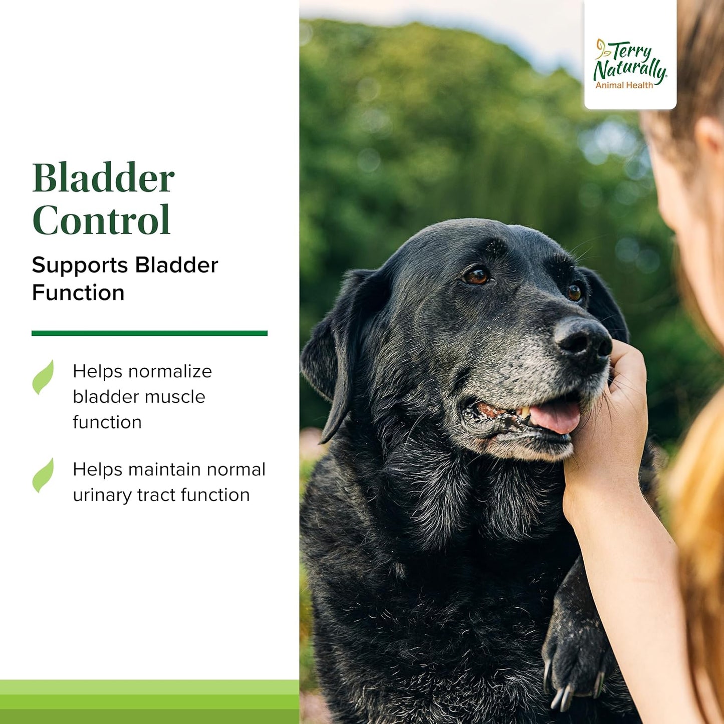 Terry Naturally Bladder Control for Dogs – Urinary Tract Health Supplement – 30 Capsules - görsel 3