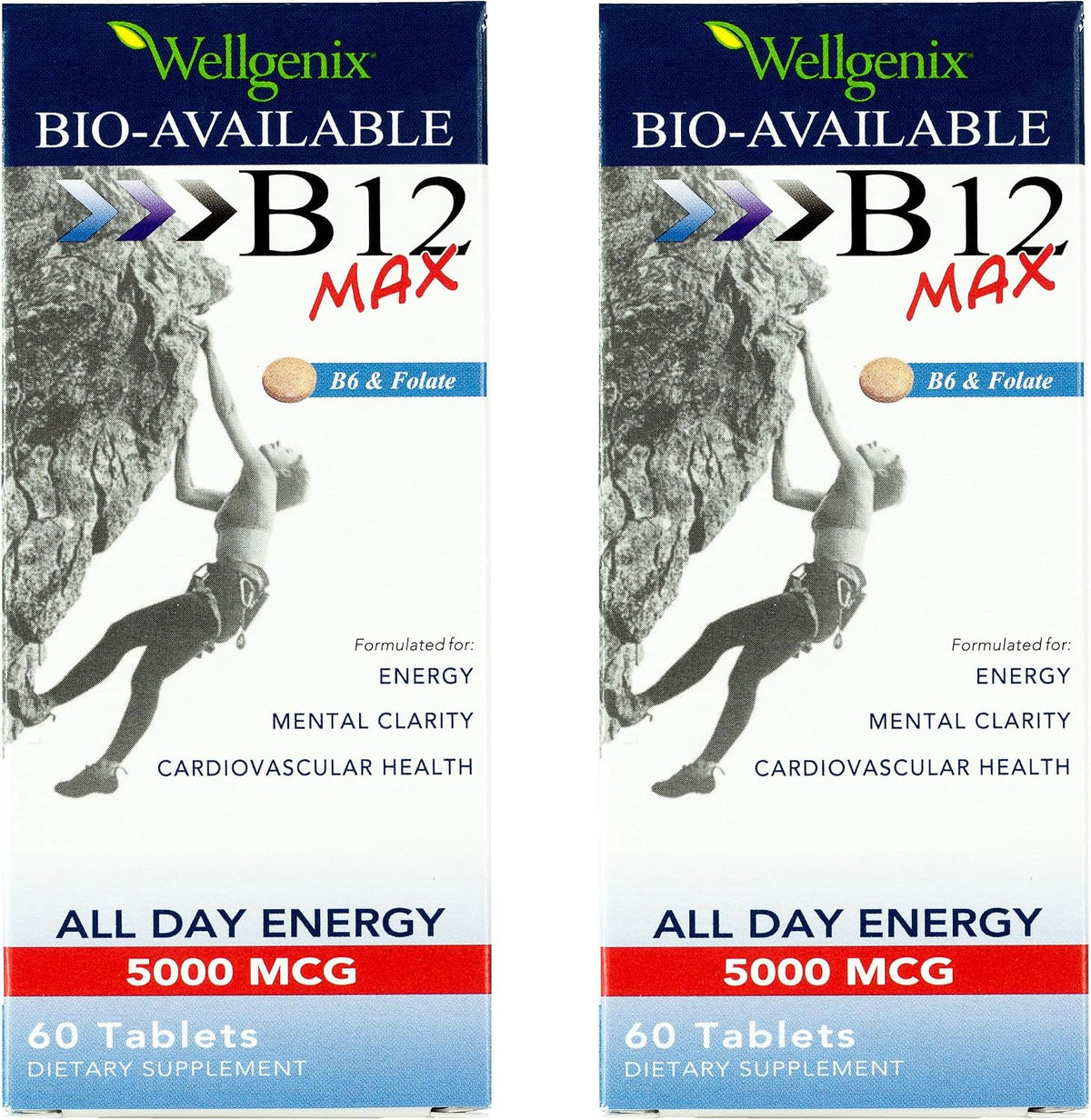 Wellgenix Bio-Available Sublingual B12 Max - High Absorption Multivitamin with B12, B6, Folate & Vitamin C - Fast Dissolve Tablets (60 tablets, 2 Pack) - görsel 1