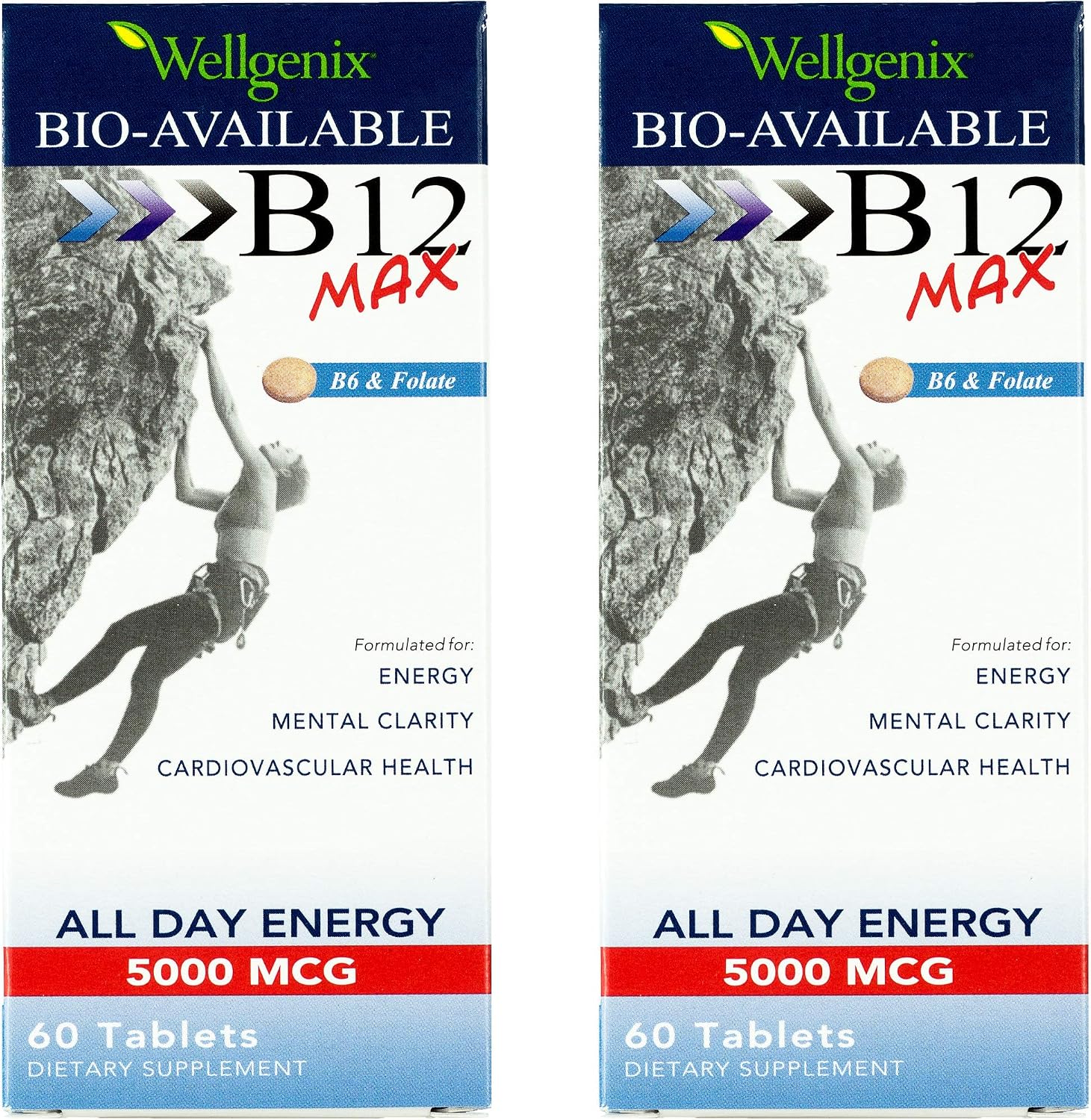 Wellgenix Bio-Available Sublingual B12 Max - High Absorption Multivitamin with B12, B6, Folate & Vitamin C - Fast Dissolve Tablets (60 tablets, 2 Pack) - görsel 1