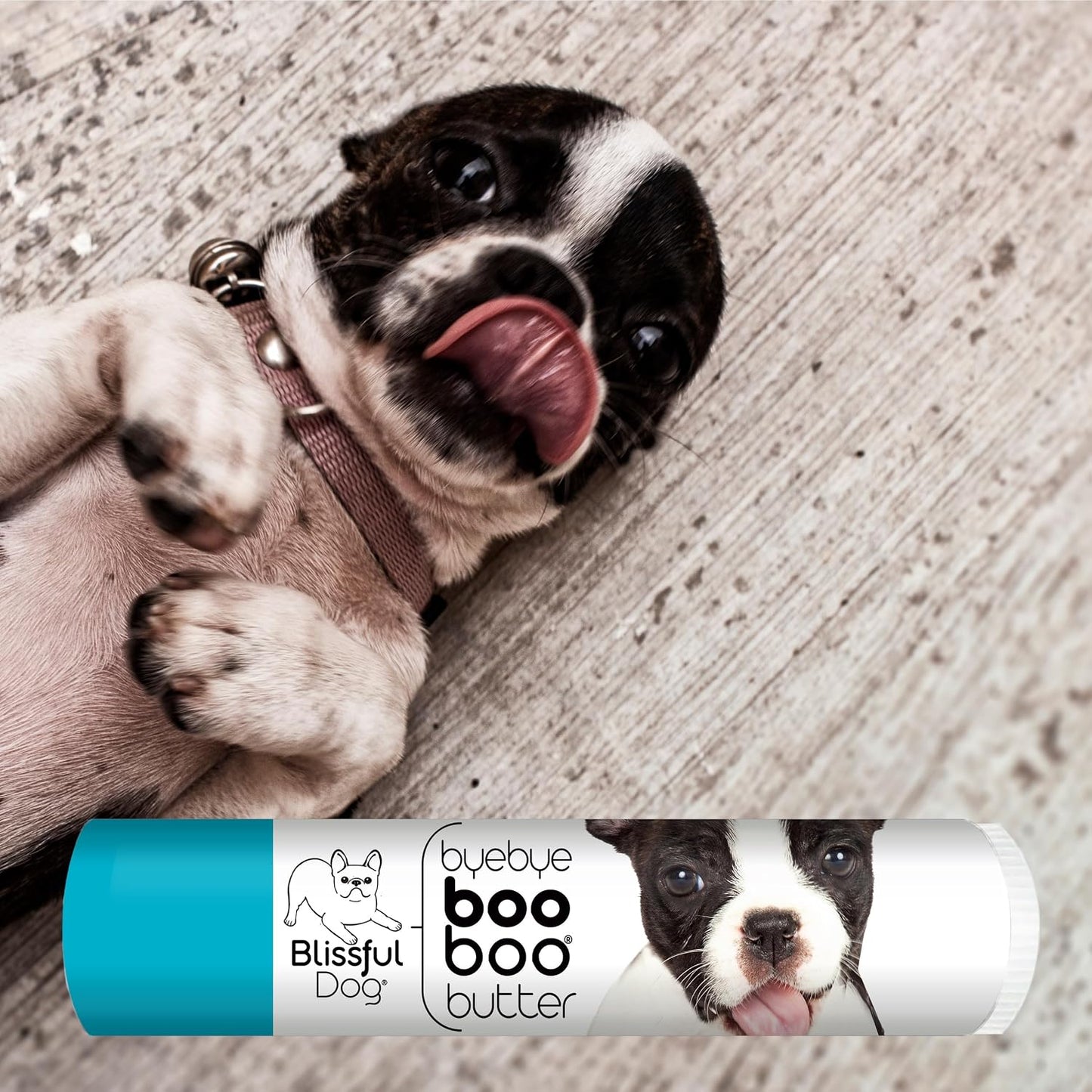 The Blissful Dog 4.25 g Tube Boston Terrier Booboo Butter - görsel 2