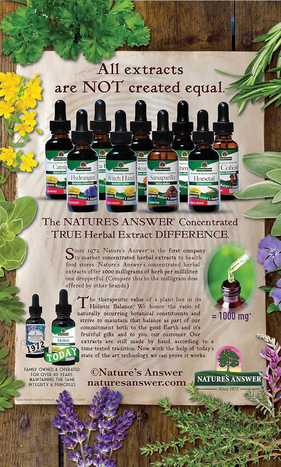Nature's Answer Schisandra Berry Extract - Alcohol-Free, Gluten-Free Stress and Fatigue Support - görsel 7