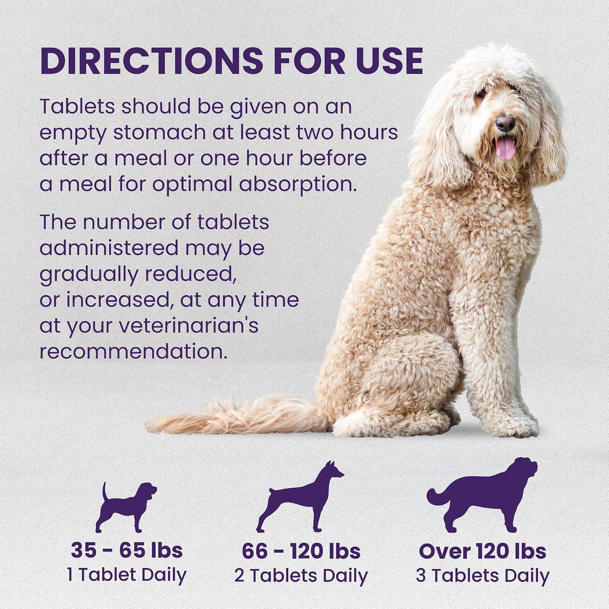 Nutramax Denamarin for Large Dogs, Liver Support Supplement with S-adenosylmethionine (SAMe) plus Silybin, Liver Support for Dogs, Coated Tablets, 30 Count - görsel 7