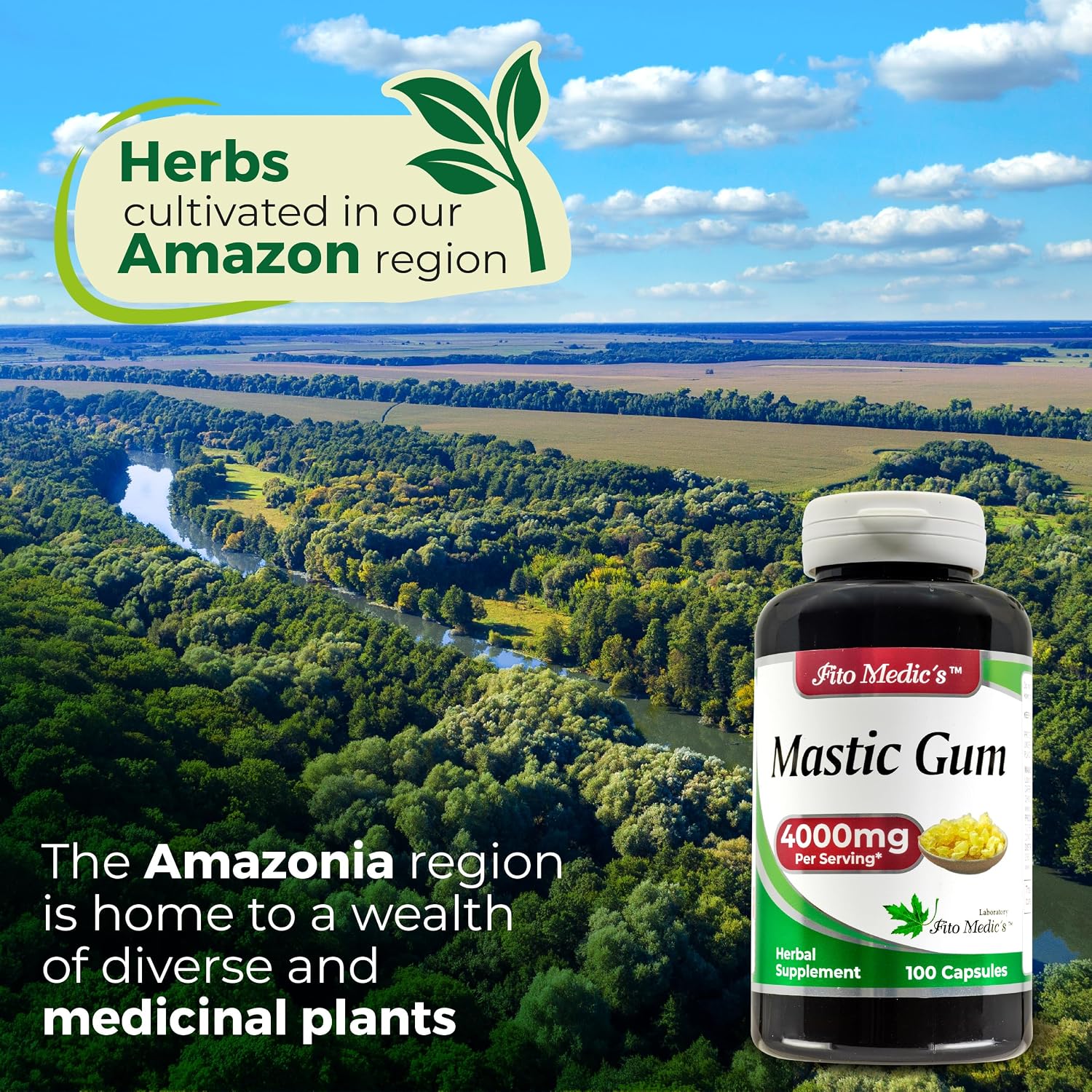 Lab - Mastic Gum - 100 Capsules - görsel 5
