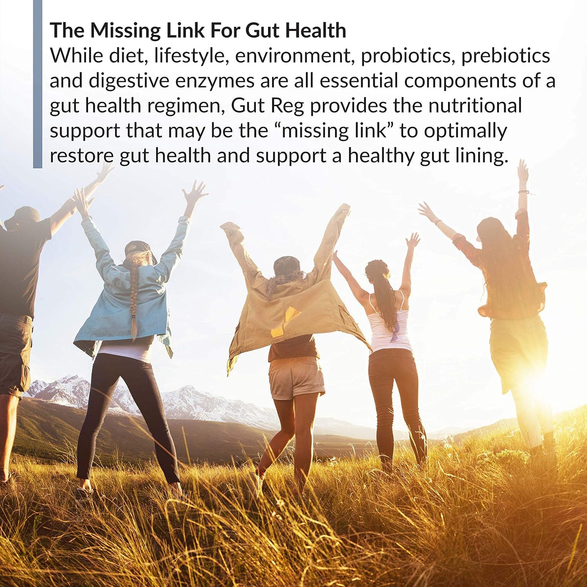 BioTrust Gut Reg – Gut Health Food Supplement with PepZin GI, L-Glutamine & Ginger Extract (60 Capsules) - görsel 6