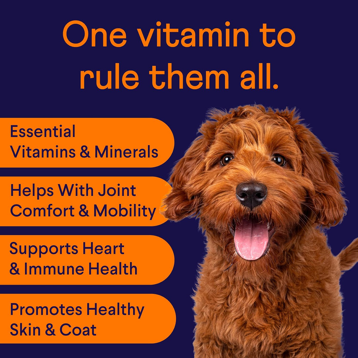 Finn All-in-1 Daily Multivitamin for Dogs - Probiotics, Omegas & Glucosamine - 90 Soft Chews - görsel 2