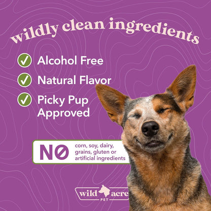 Wild Acre Milk Thistle for Dogs - Maximum Strength Liver Support - Natural Bacon Flavour - 2 fl oz (60 ml)