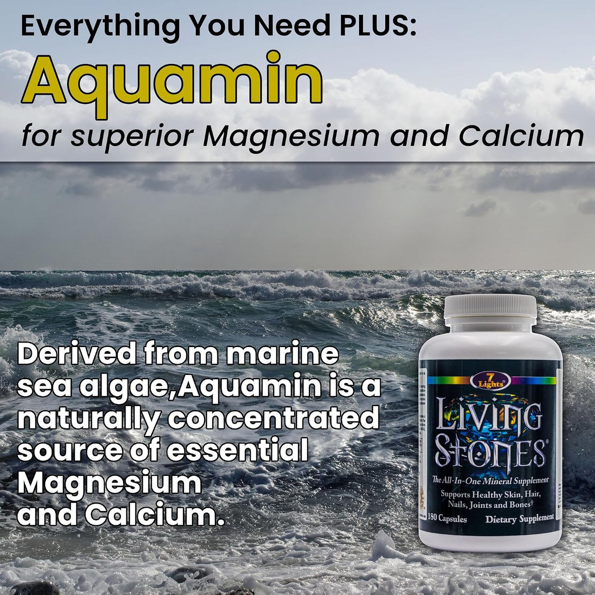 Living Stones Complete Mineral Supplement – with MSM and Shilajit, No Added Iron (180 Capsules) - görsel 5