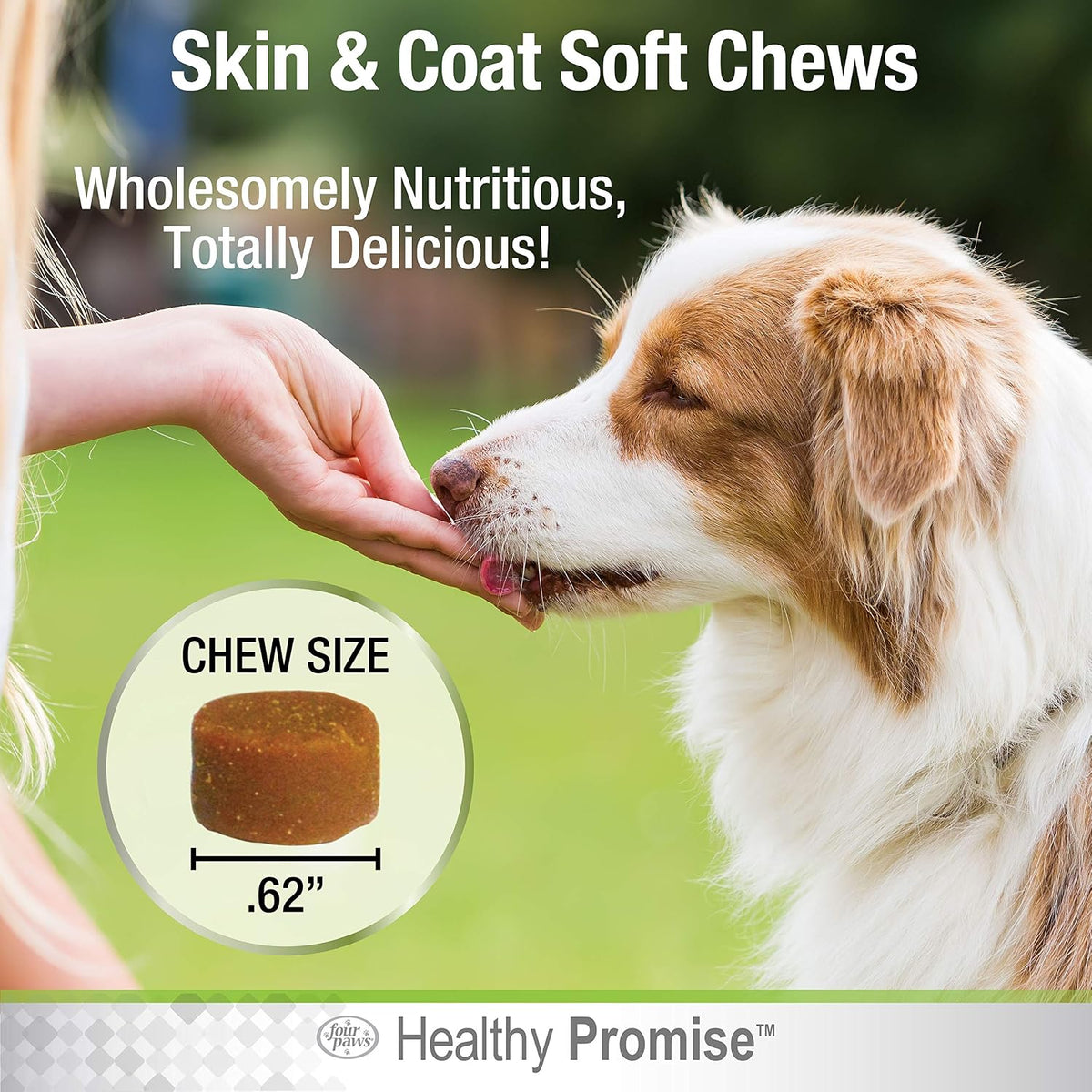 Four Paws Healthy Promise Dog Skin and Coat Supplement Soft Chews 90 Count - görsel 5
