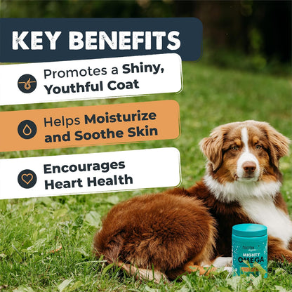 Mighty Paw Waggables Mighty Omega (Made in The USA, 120 Count) | Omega 3 Fish Oil Chew for Dogs. Salmon Flavour Skin and Coat Supplement. Soft Chew Fish Oil for Dogs - DHA & EPA, Bacon Flavour