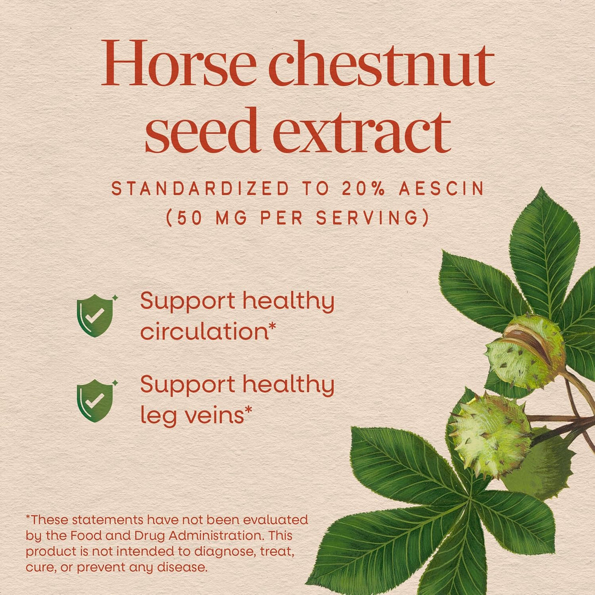 Nature's Way Horse Chestnut Extract – Premium Extract, Traditional Support for Leg Veins, Standardised to 20% Aescin, 90 Capsules - görsel 3