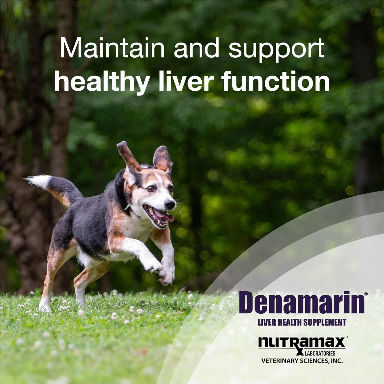 Nutramax Denamarin for Medium Dogs – Liver Health Supplement with SAMe plus Silybin, 30 Coated Tablets - görsel 2