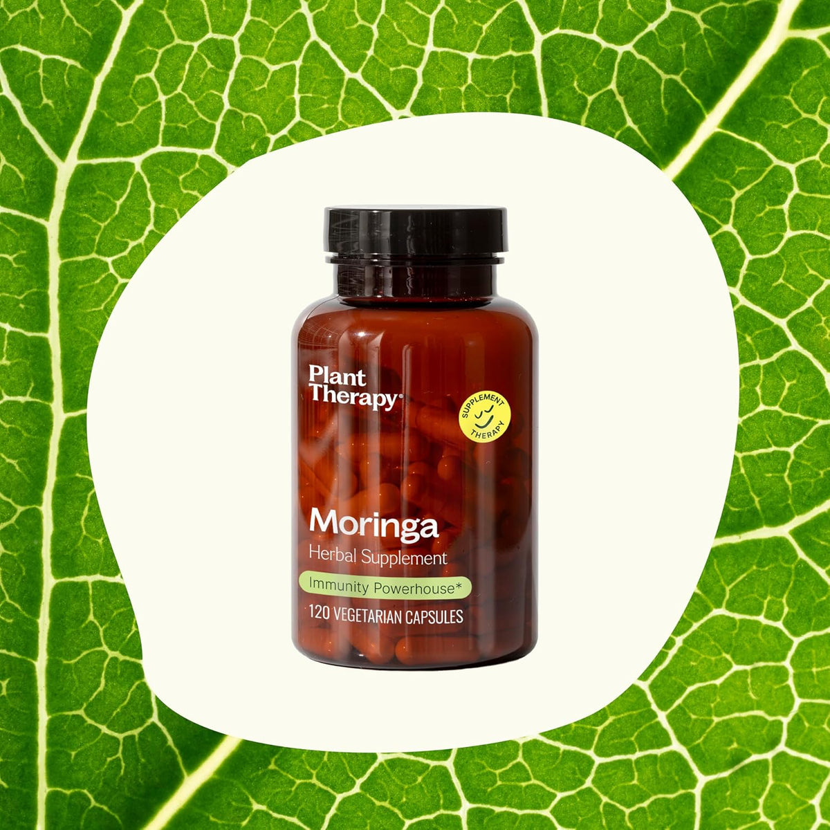 Plant Therapy Moringa Herbal Supplement Capsules, Supports Whole-Body Wellness, Energising (already correct) & Immune-Supporting, Naturally Nutritious, 120 Vegetarian Capsules (4-Month Supply), Made in the USA - görsel 8