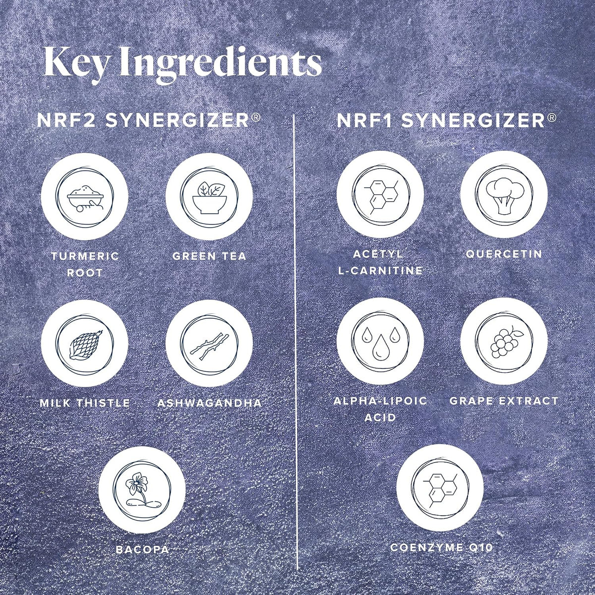 LifeVantage Protandim Dual Synergizer, NRF1 (60 Caps) + Nrf2 (30 Caps) Activators - görsel 7