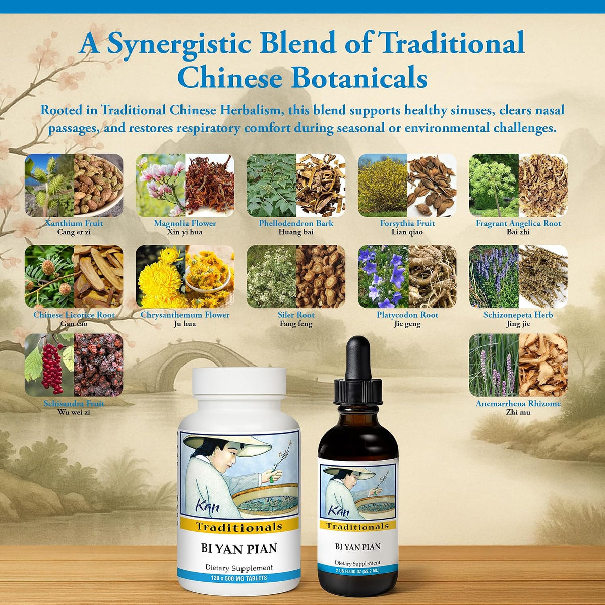 Kan Herb Company Bi Yan Pian – Traditional Chinese Herbal Remedy for Sinus Health, Liquid Extract, 60 ml - görsel 4