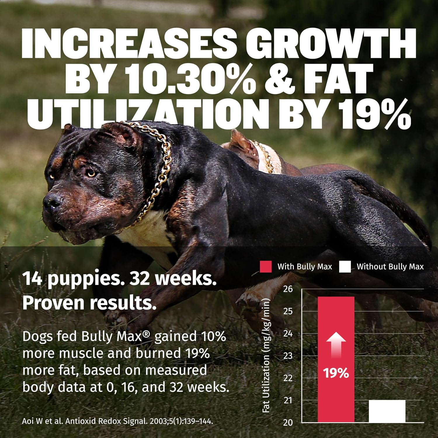 Bully Max 3-in-1 Liquid Dog Muscle Builder and Multivitamin – Suitable for All Breeds - görsel 5