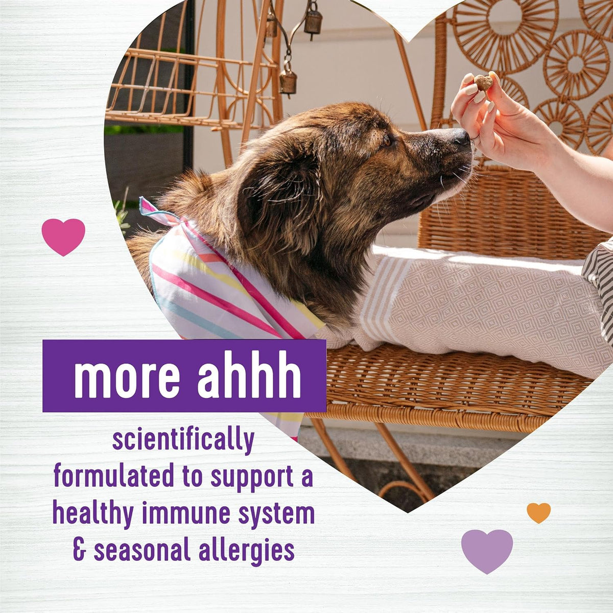 Wellness Salmon Flavoured Soft Chew Immune & Allergy Supplements for Dogs, 45 Chews - görsel 2