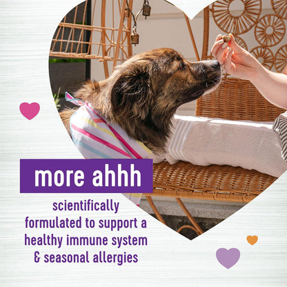Wellness Salmon Flavoured Soft Chew Immune and Allergy Support for Dogs, 45 Count