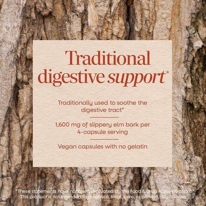 Nature's Way Slippery Elm Bark Capsules – Traditional Digestive Support – 1,600 mg per Serving – Vegan – 100 Capsules