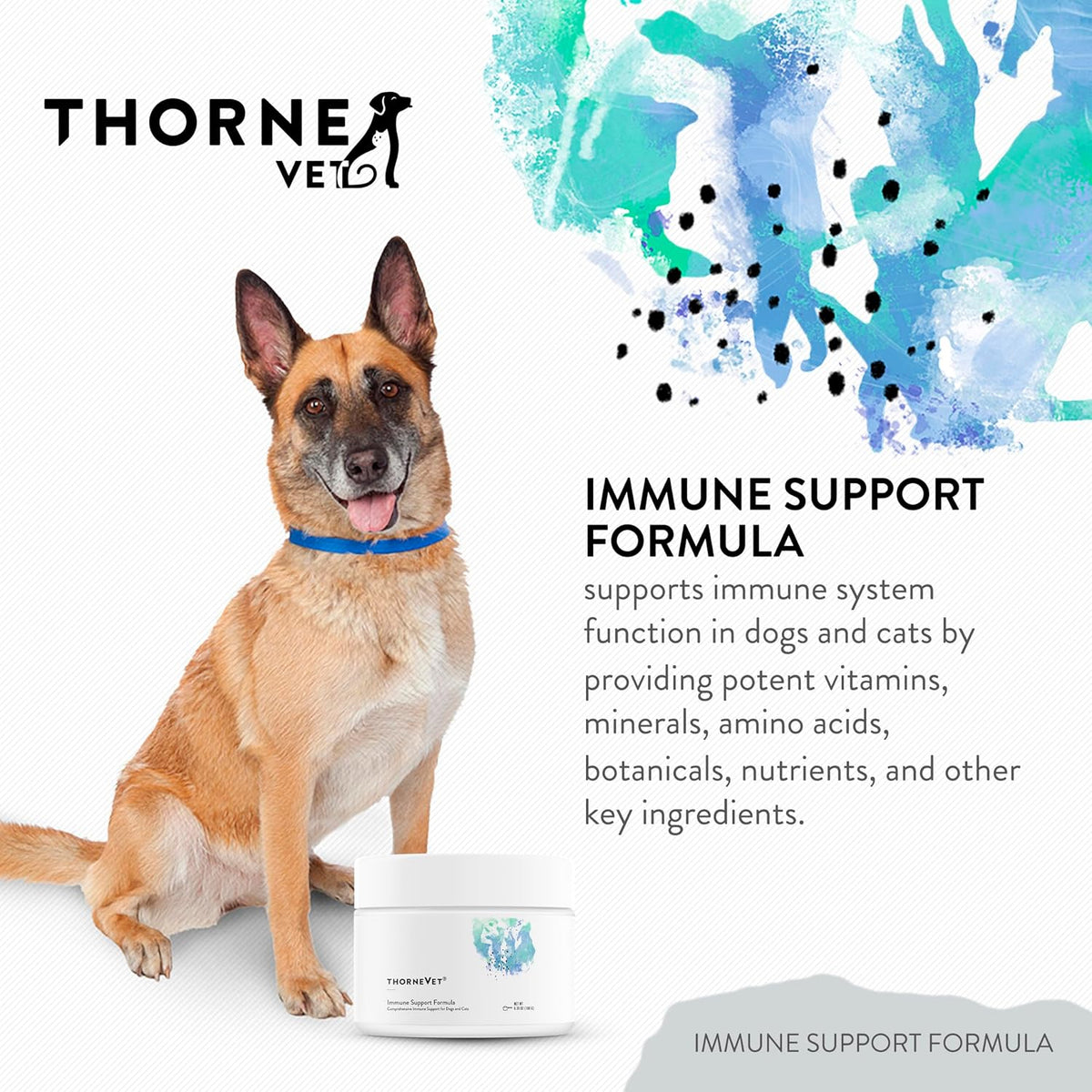 ThorneVET Immune Support Formula Powder – Immune Support for Dogs & Cats, 90 Scoops - görsel 2