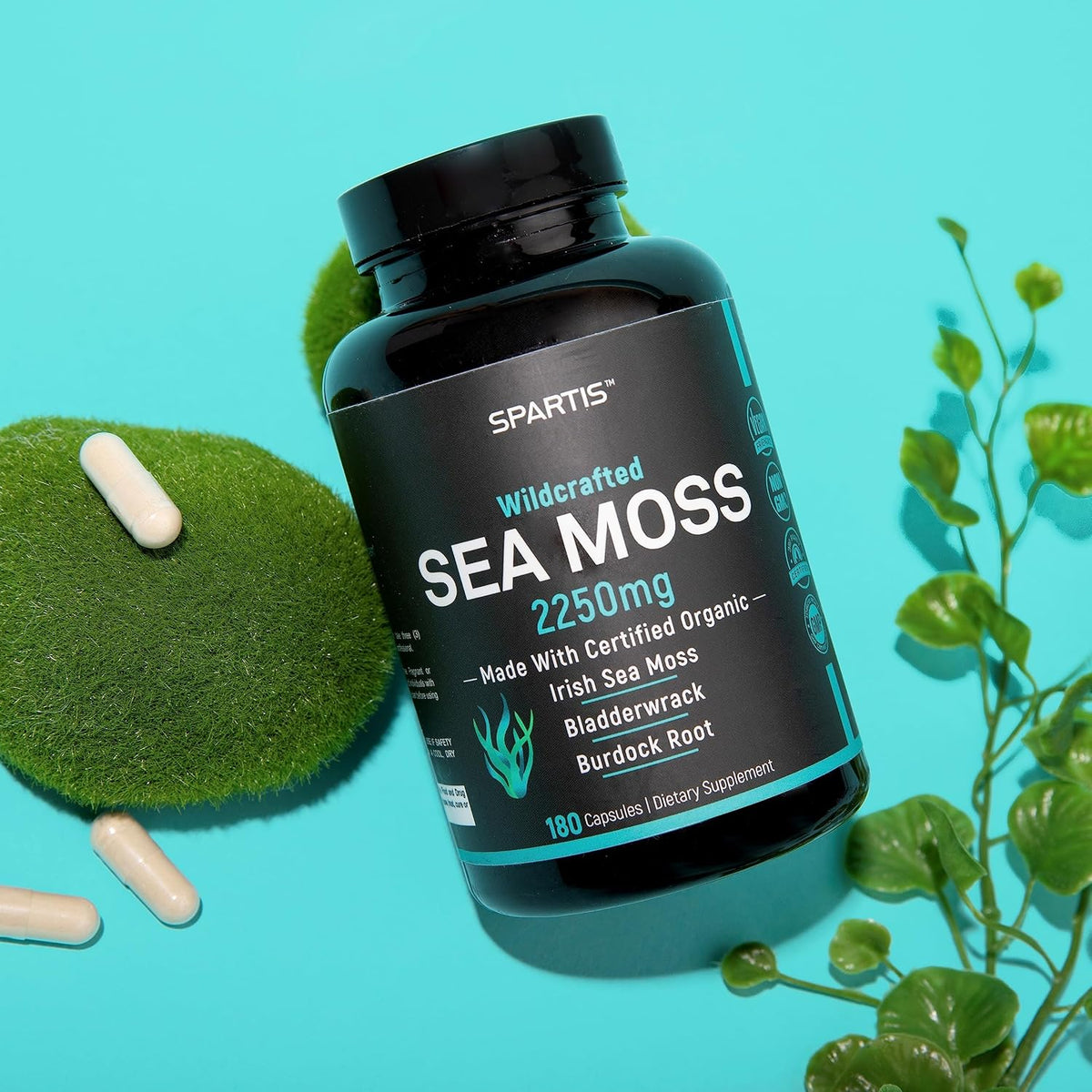 Certified Organic Sea Moss Capsules 2250mg – Wildcrafted Irish Sea Moss, Burdock Root & Bladderwrack Supplement (180 Capsules) - görsel 4