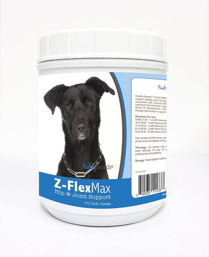 Healthy Breeds English Springer Spaniel Z-Flex Max + Glucosamine + Chondroitin + Omegas – Hip & Joint Support – 100 Bacon Flavoured Soft Chews