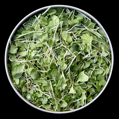 Whole Food Microgreens - US Grown, Small Batch, Nutritional Booster - Broccoli Booster - Nrf2 Activation - 5g