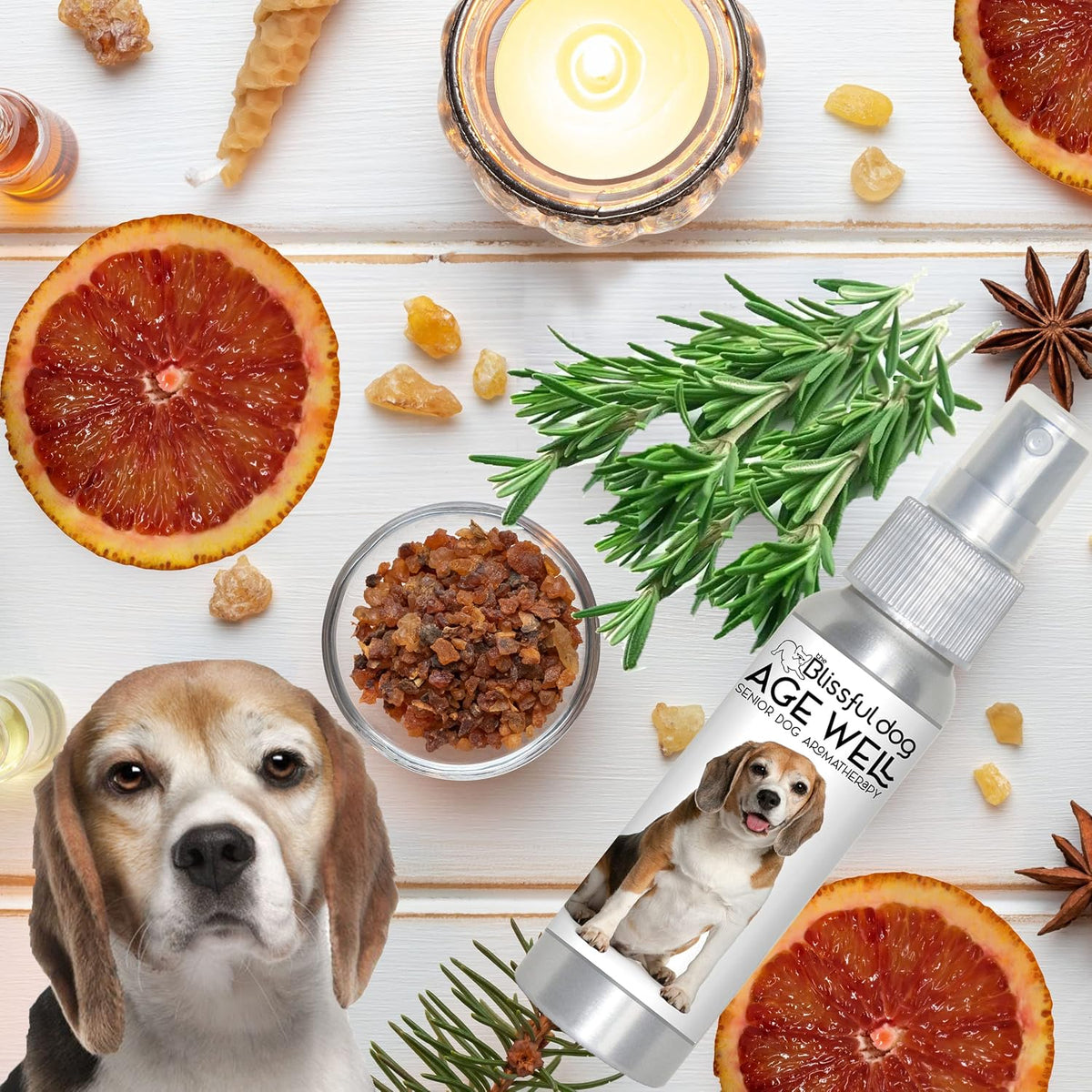 The Blissful Dog Beagle Age Well Spray Aromatherapy - 80 ml - görsel 7