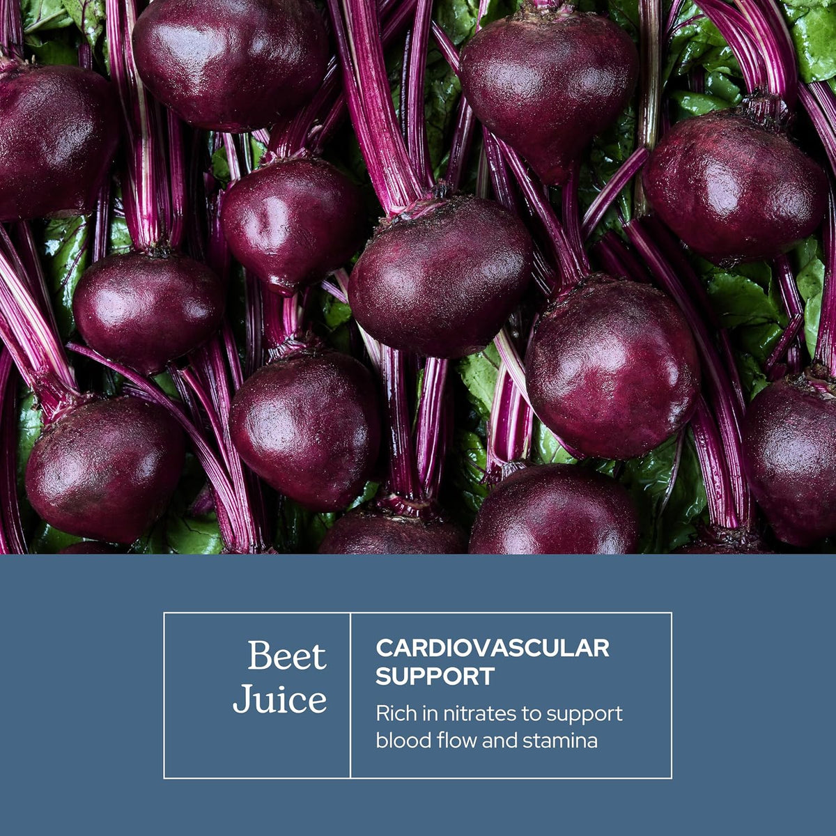 Organic Beetroot Juice Capsules – Circulation & Cardiovascular Support (440 mg, 50 Capsules) - görsel 3