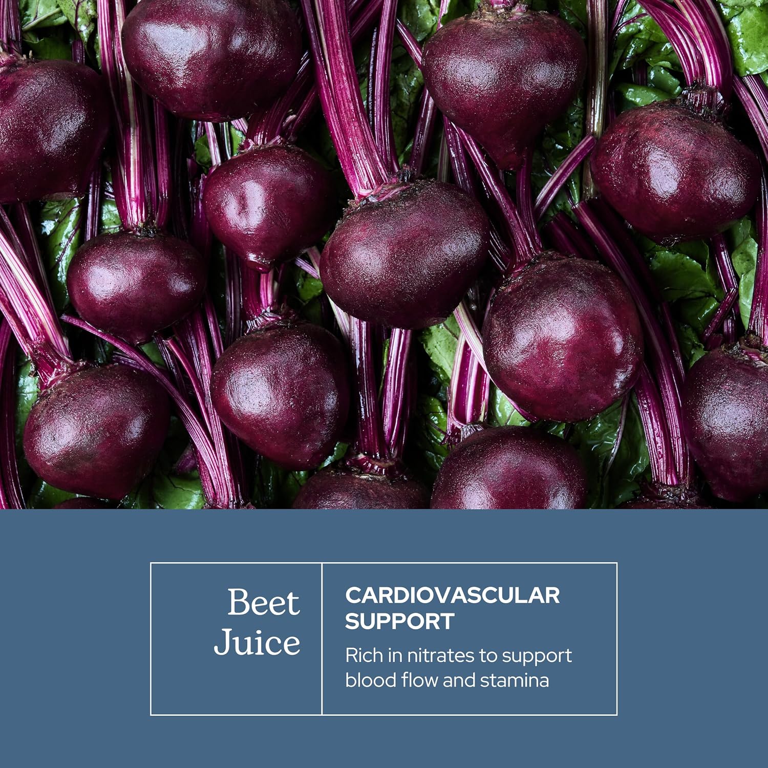 Organic Beet Juice Capsules - görsel 3