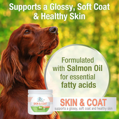 Four Paws Healthy Promise Dog Skin and Coat Supplement Soft Chews 90 Count