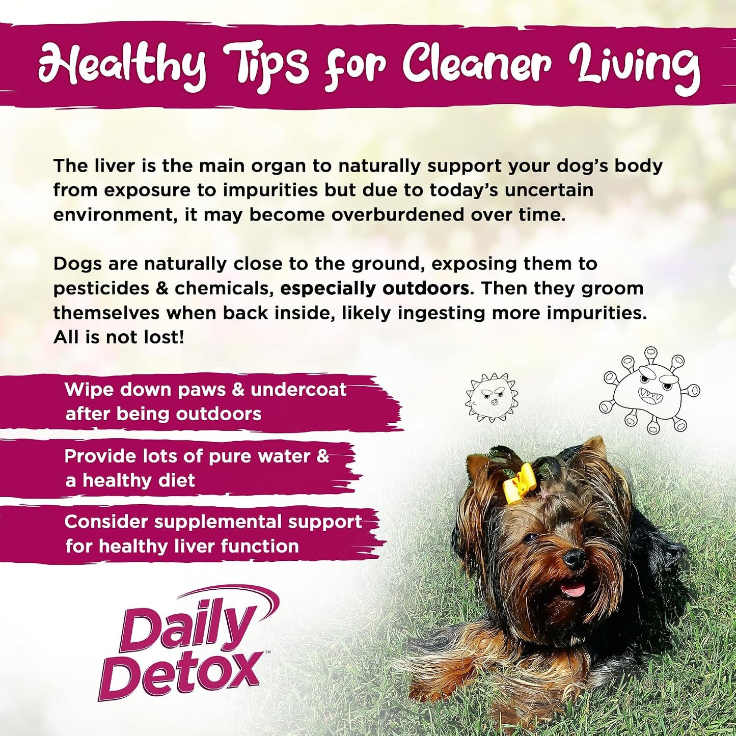 Vital Planet Daily Detox for Dogs with Milk Thistle, Turmeric, MSM - 60 Chewable Tablets - görsel 5