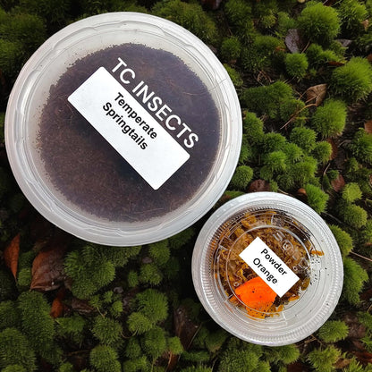 Bioactive Combo | 25 Powder Orange Isopods | 8 oz Coco Temperate Springtails | Live Delivery Guaranteed