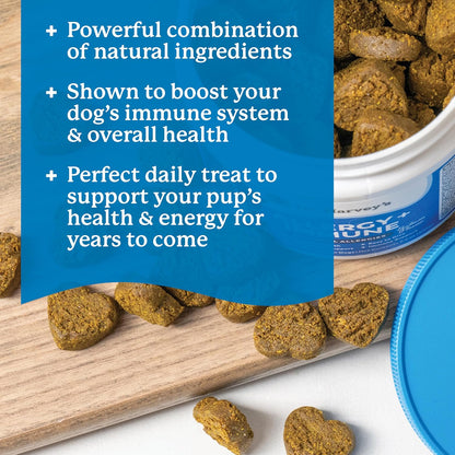 Dr. Harvey's Dog Allergy & Anti-Itch Relief Soft Chew Supplement Bites for Dogs, Daily Immune & Digestive Health Support with Functional Mushrooms, Super Herbs, Probiotics, Salmon Flavour (90 Chews)