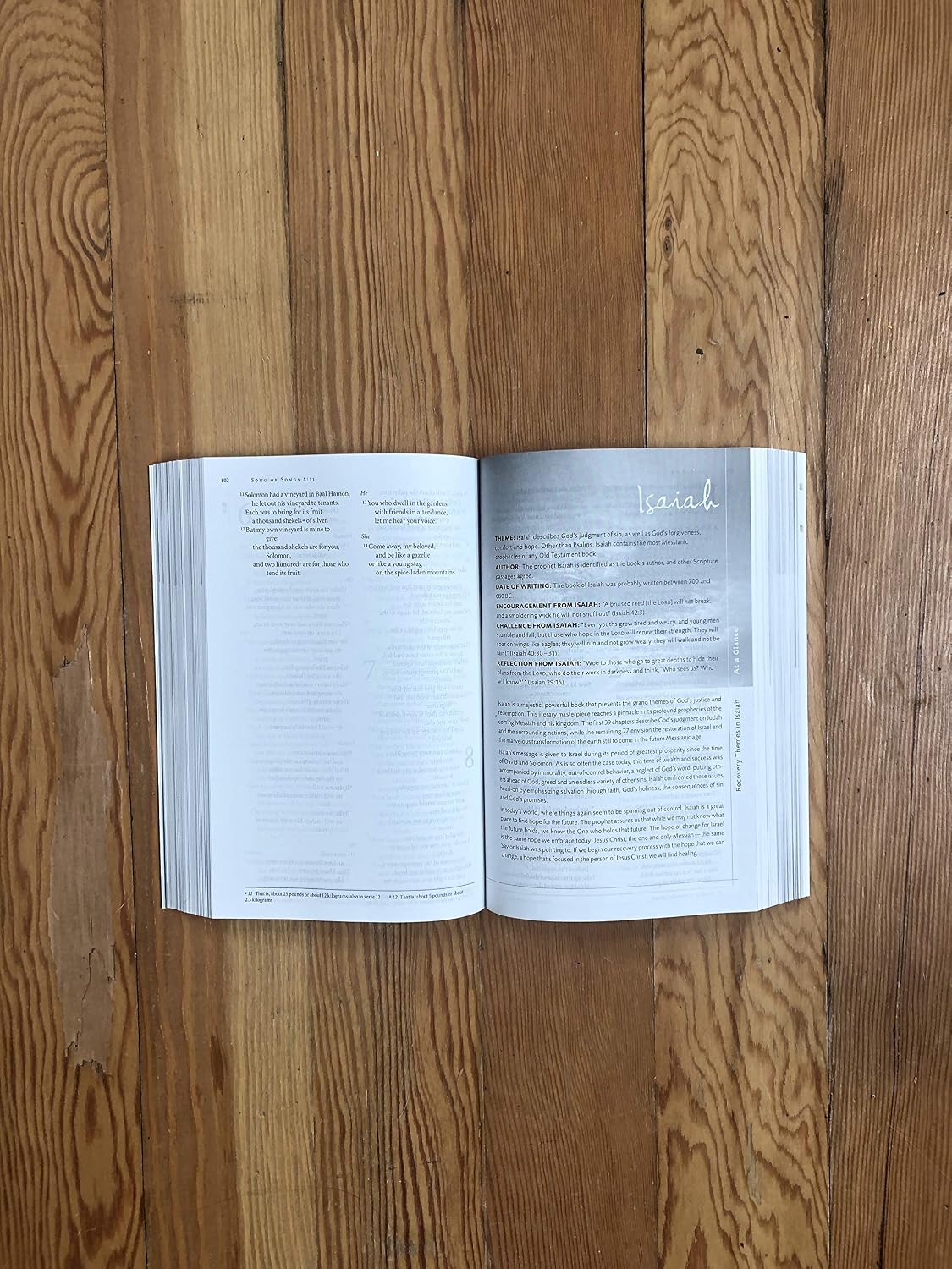NIV, Celebrate Recovery Study Bible - görsel 5