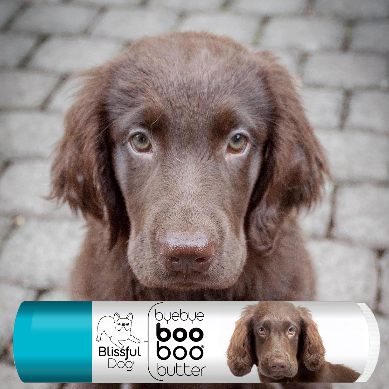 The Blissful Dog Flat-Coat Retriever Boo Boo Butter, 0.15-Ounce - görsel 2