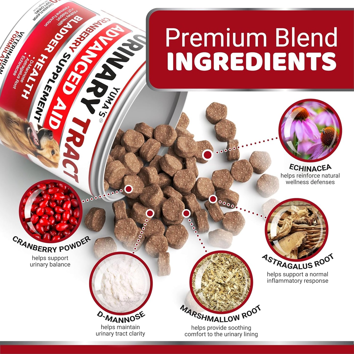 Dog UTI Chews - 170 Treats - Cranberry Supplement for Dogs - Bladder Control - Digestion & Immune Support - Urinary Tract Health - Multivitamin - Vitamins and Supplements - Made in USA - görsel 3