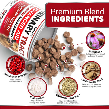 Dog UTI Chews - 170 Treats - Cranberry Supplement for Dogs - Bladder Control - Digestion & Immune Support - Urinary Tract Health - Multivitamin - Vitamins and Supplements - Made in USA