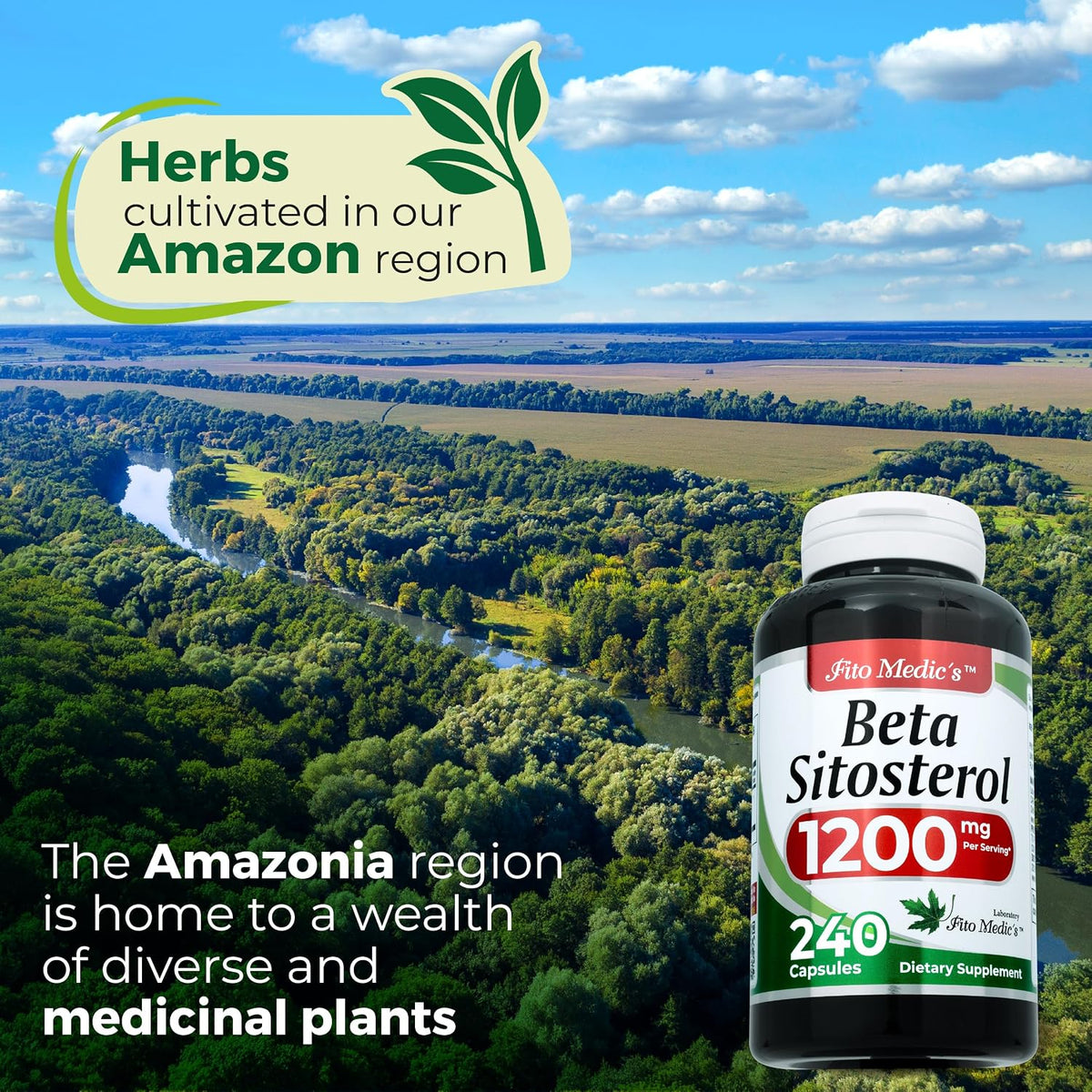 FITO MEDIC'S Beta Sitosterol 1200 mg - Plant Sterols Supplement, 240 Capsules - görsel 7