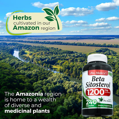 FITO MEDIC'S Beta Sitosterol 1200 mg - Plant Sterols Supplement, 240 Capsules