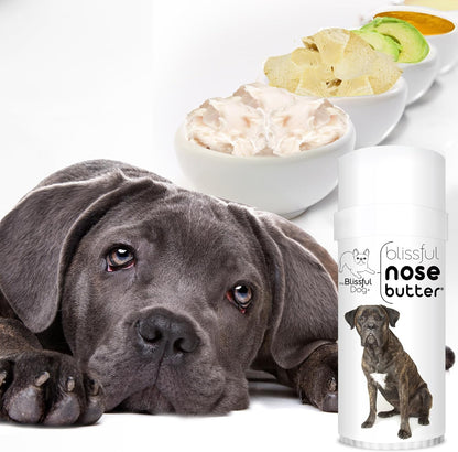 The Blissful Dog Cane Corso Nose Butter, Versatile Dog Nose Balm for Dry Nose, Handcrafted Nose Moisturiser, Easy-to-Apply Dog Essentials, Unscented, 57 g