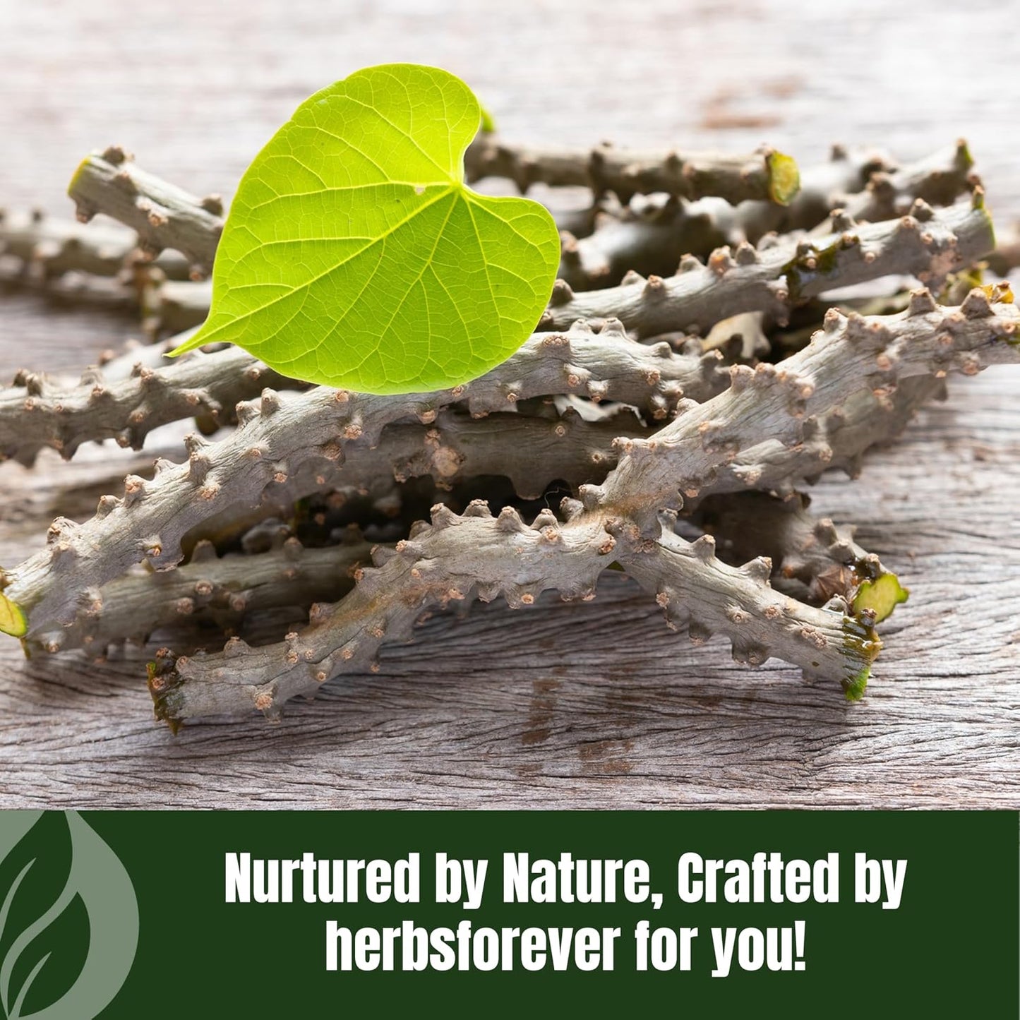 Herbsforever Guduchi Powder (Tinospora cordifolia) - 454g, Premium Herbal Powder, Non-GM, Vegan, Gluten-Free - görsel 7