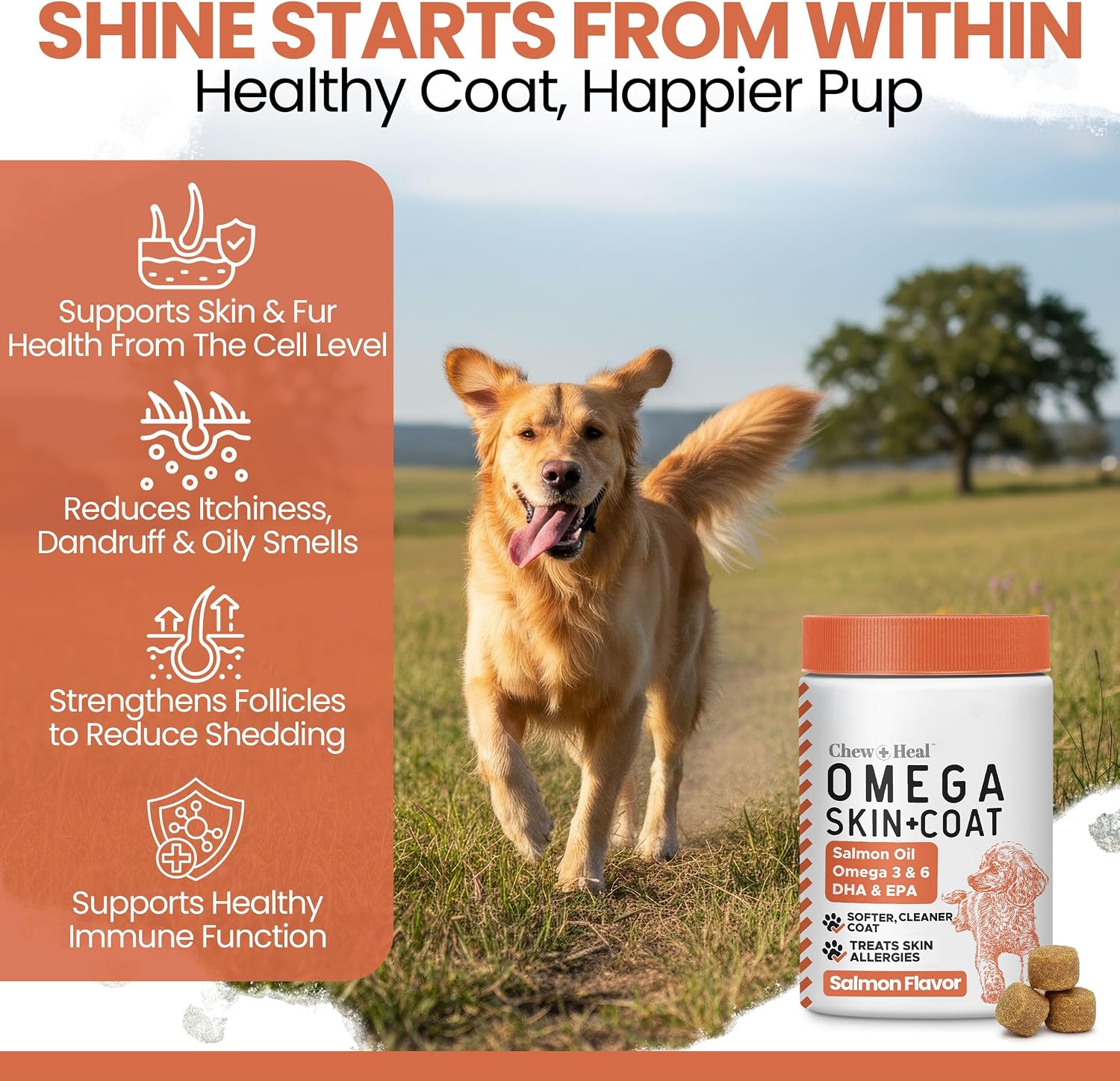 Salmon Oil for Dogs - Soft Chew Omega Treats for Skin and Coat - Fish Oil Blend of Essential Fatty Acids, Omega-3 and 6, Vitamins, Antioxidants and Minerals - Made in the USA (180 Chews, Salmon) - görsel 3
