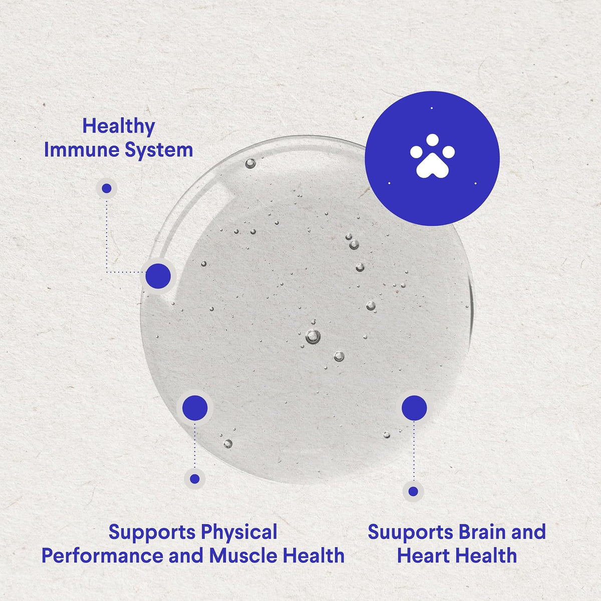 Wonder Paws Premium DMG for Dogs – Immune Support Liquid Supplement, 118 ml - görsel 4