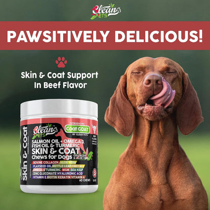 Clean Pets Salmon Oil Omega-3 Fish Oil for Dogs Skin and Coat Supplement | Dog Collagen Aloe Vera Biotin Keratin Flaxseed Nettle Leaf Sea Kelp Hyaluronic Acid Brewer's Yeast Vitamin A - Coat Goat
