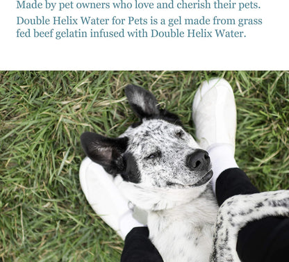 Double Helix Water for Pets — Joint Supplement for Dogs, Cats & Other Pets (227 ml)