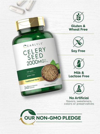 Carlyle Celery Seed Extract Capsules | 240 Count | Traditional Herbal Supplement | Non-GMO and Gluten-free Formula