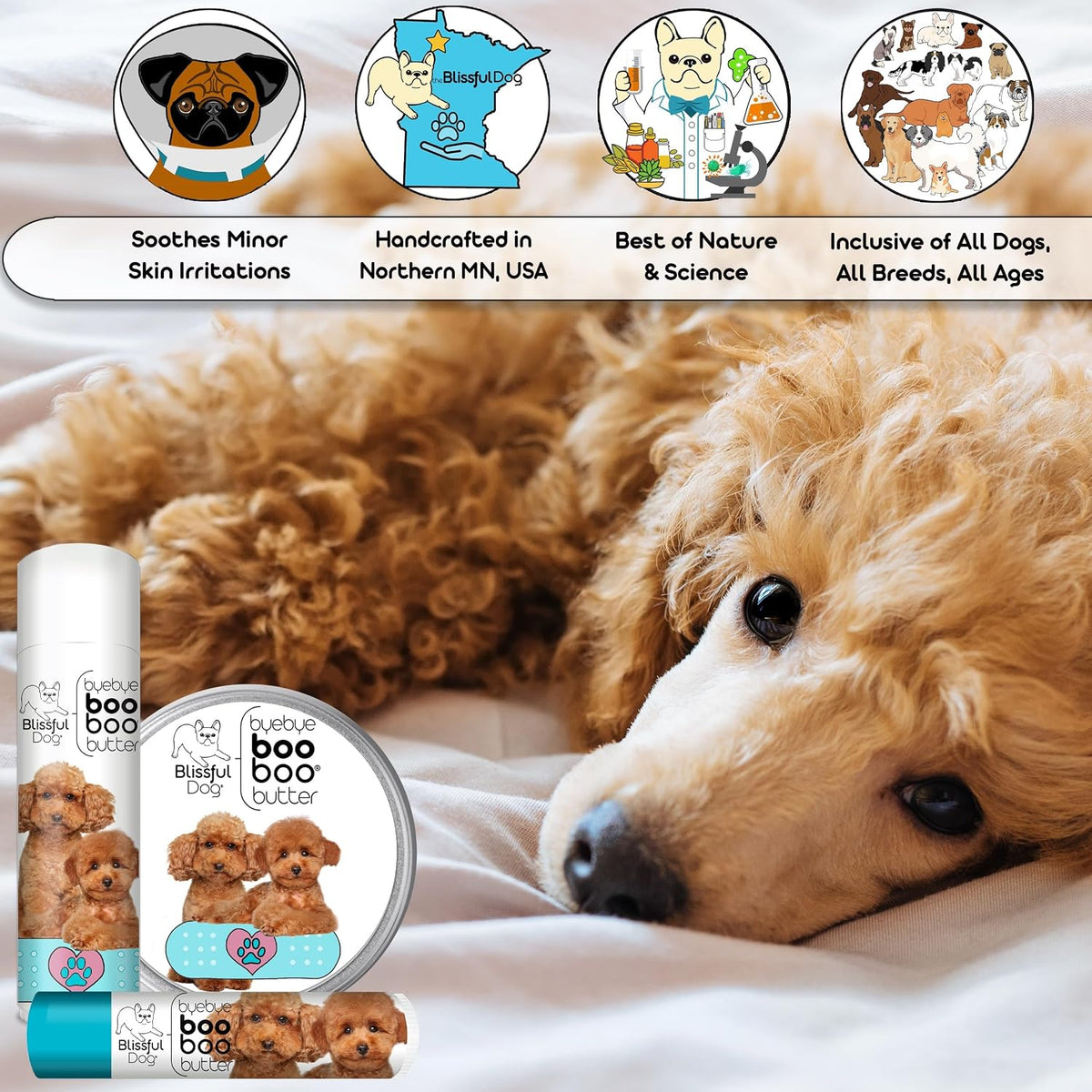 The Blissful Dog 8 oz TIN Poodle Booboo Butter - görsel 6